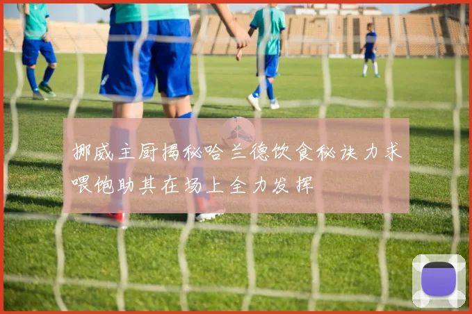 挪威主厨揭秘哈兰德饮食秘诀力求喂饱助其在场上全力发挥